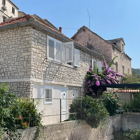 Willa House Zarko Pucisca